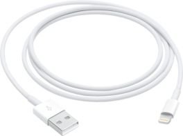 Apple 3.3 FT (1M) USB Type A-to-Lightning Charging Cable - White product photograph